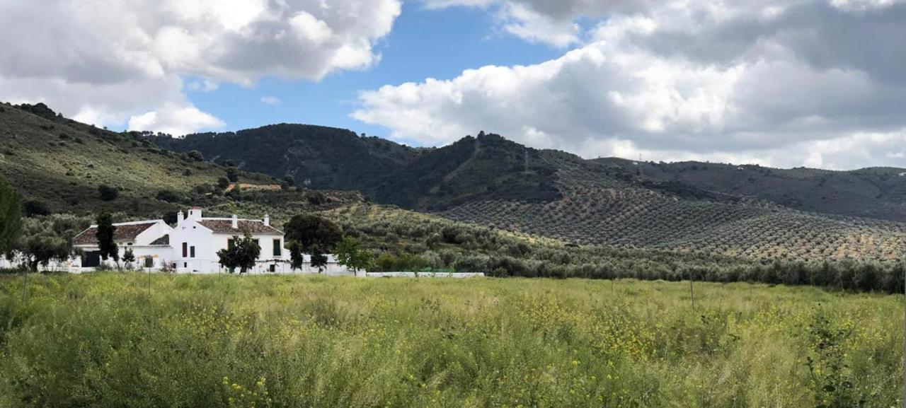 فيلا Cortijo Alzamigaja أرشذونة المظهر الخارجي الصورة
