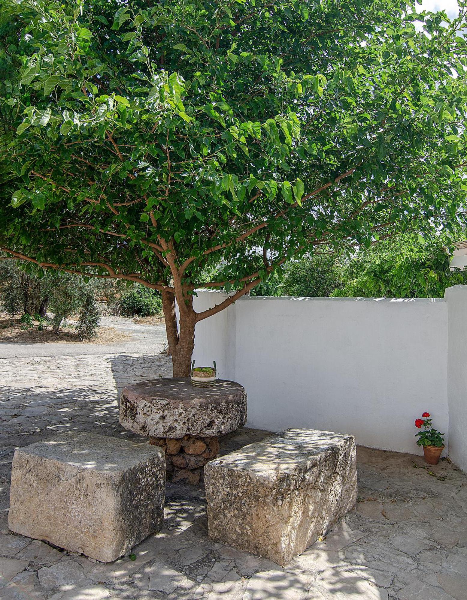 فيلا Cortijo Alzamigaja أرشذونة المظهر الخارجي الصورة